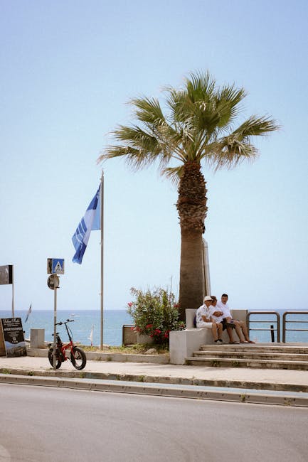 people strolling lungomare benches palm trees