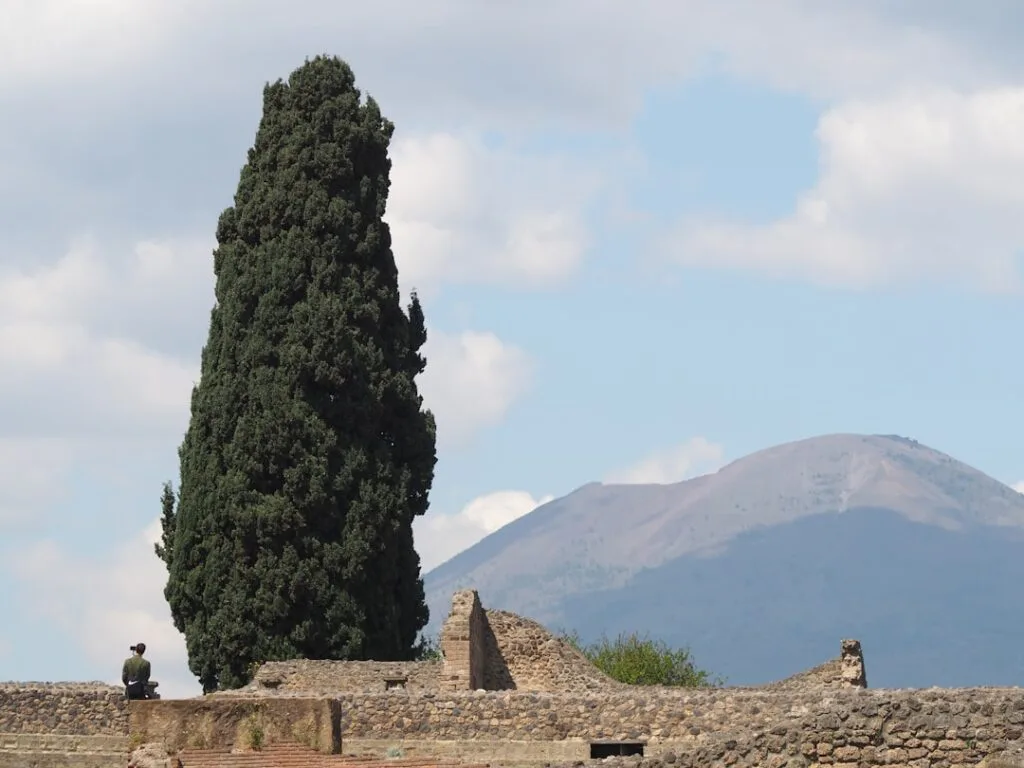 Tall cypress tree above Pompeii ruins with Mount Vesuvius behind