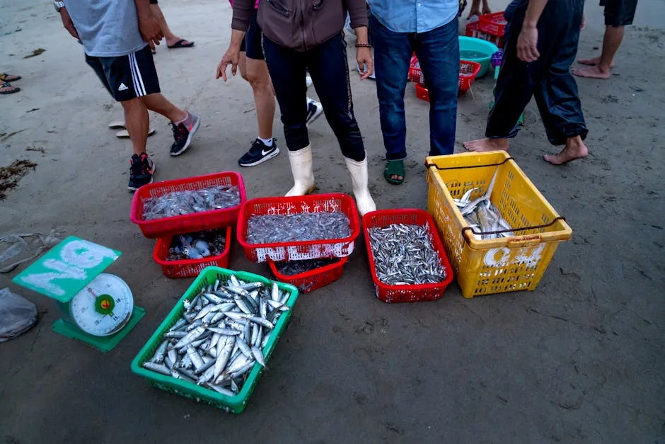 Local fishermen on Procida beach sorting baskets of fresh fish
